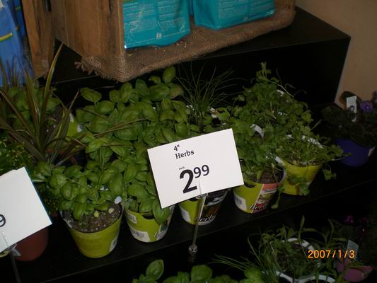 Resize of CIMG0489.JPG